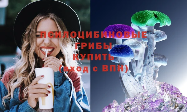 тгк Медногорск