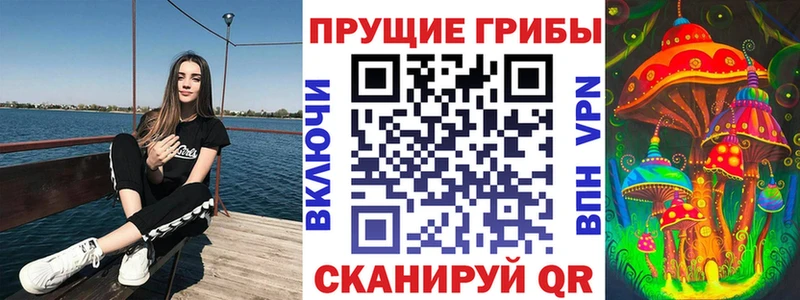 продажа наркотиков  Починок  Псилоцибиновые грибы Cubensis 